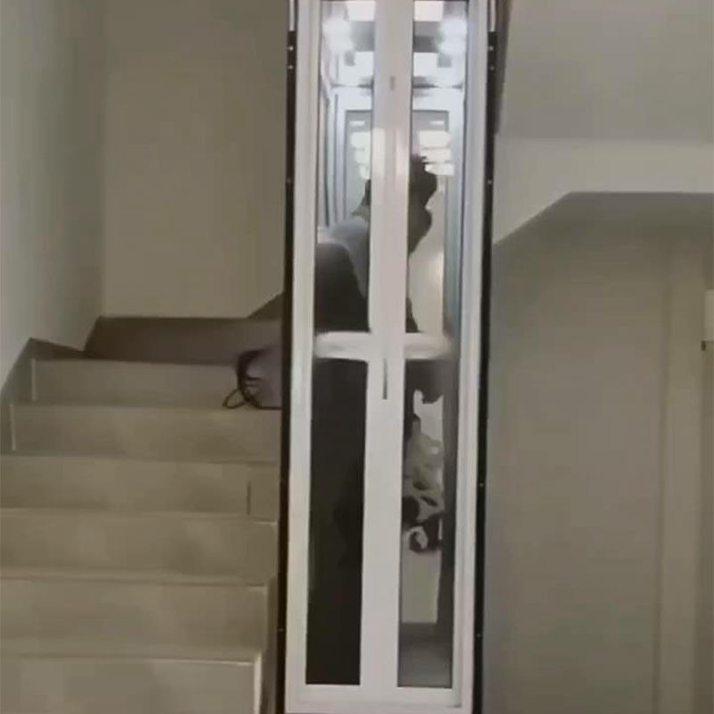 Evler ve İşletmeler için Kompakt Hidrolik Asansör | 400kg Kapasite