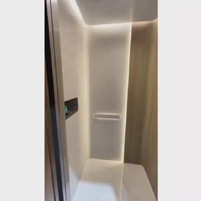 Otomatik kaydırma kapısı ve 400 kg kapasiteli 220V AC vida tahrikli ev asansörü