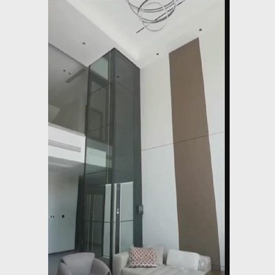 Paslanmaz çelik kapısı ve acil durma düğmesi ile vida tahrikli asansör