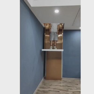 30M Seyahat Ev İçi Hidrolik Asansör 400Kg Kompakt Hidrolik Ev Asansörü