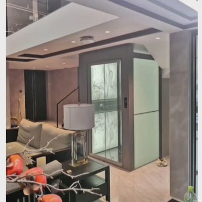 Villa Traction Güvenli Ev Asansörü 0.6 M/S Tek / Üç Fazlı Güç kaynağı