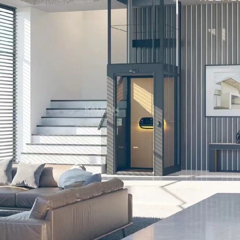 İçeride vida ile çalışan ev asansörü 500 kg Evler için küçük asansörler