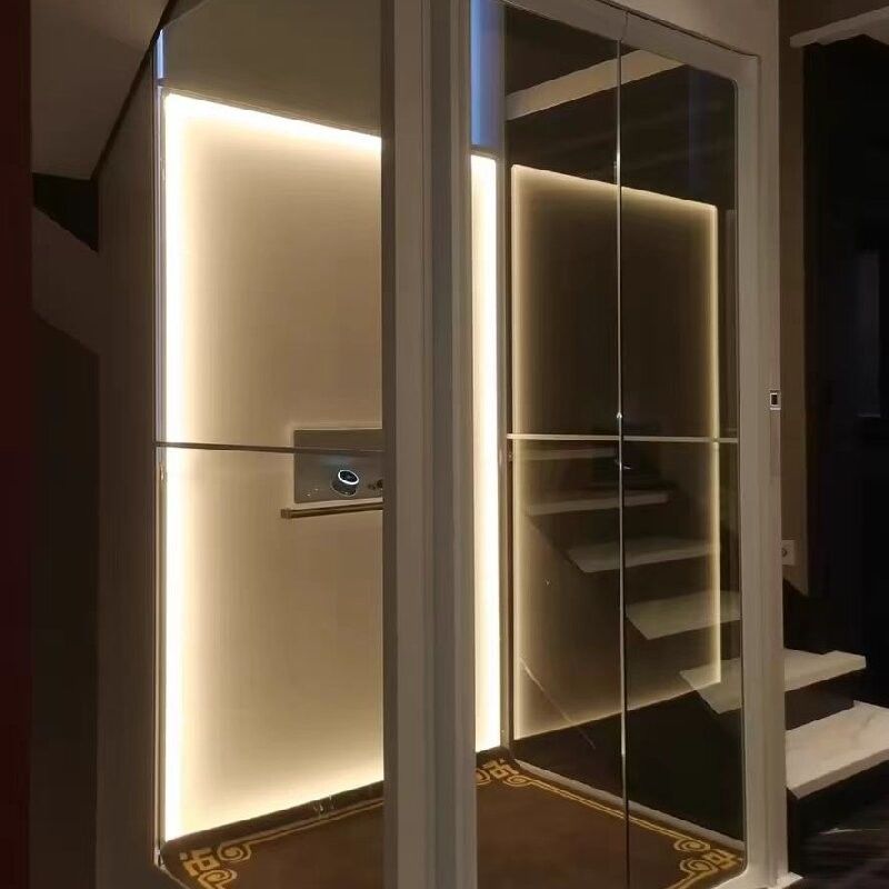 220V Hidrolik Asansör Ev 5 Durak Uygun Fiyatlı Ev Asansörleri