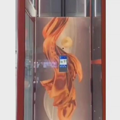 Paslanmaz çelik küçük konut asansörü 400Kg Evler için küçük asansörler